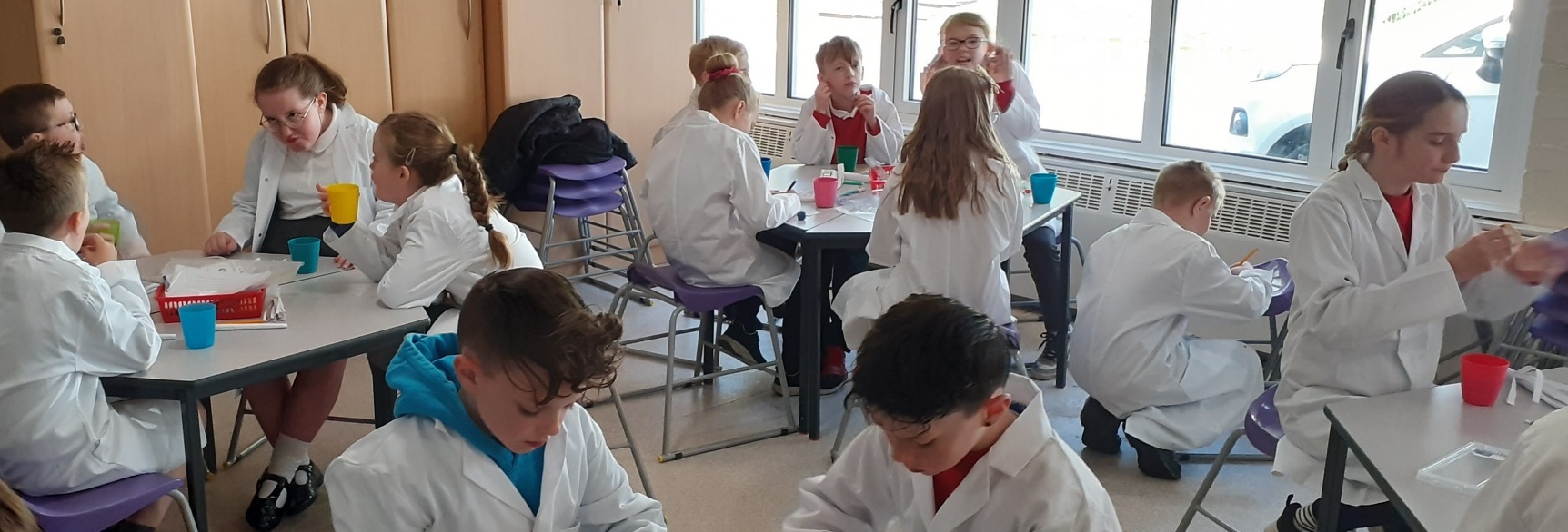 Primary pupils gathered around tables working - they are wearing white lab coats